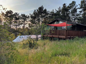 The Quails Nest Cottage, Point Reyes Station